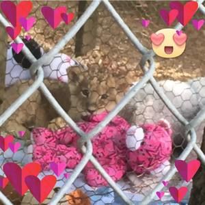 Meet your Posher, Denise